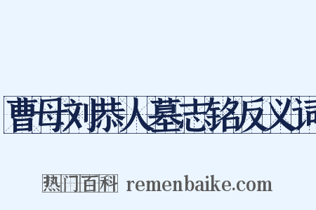 曹母刘恭人墓志铭反义词是什么意思的图片